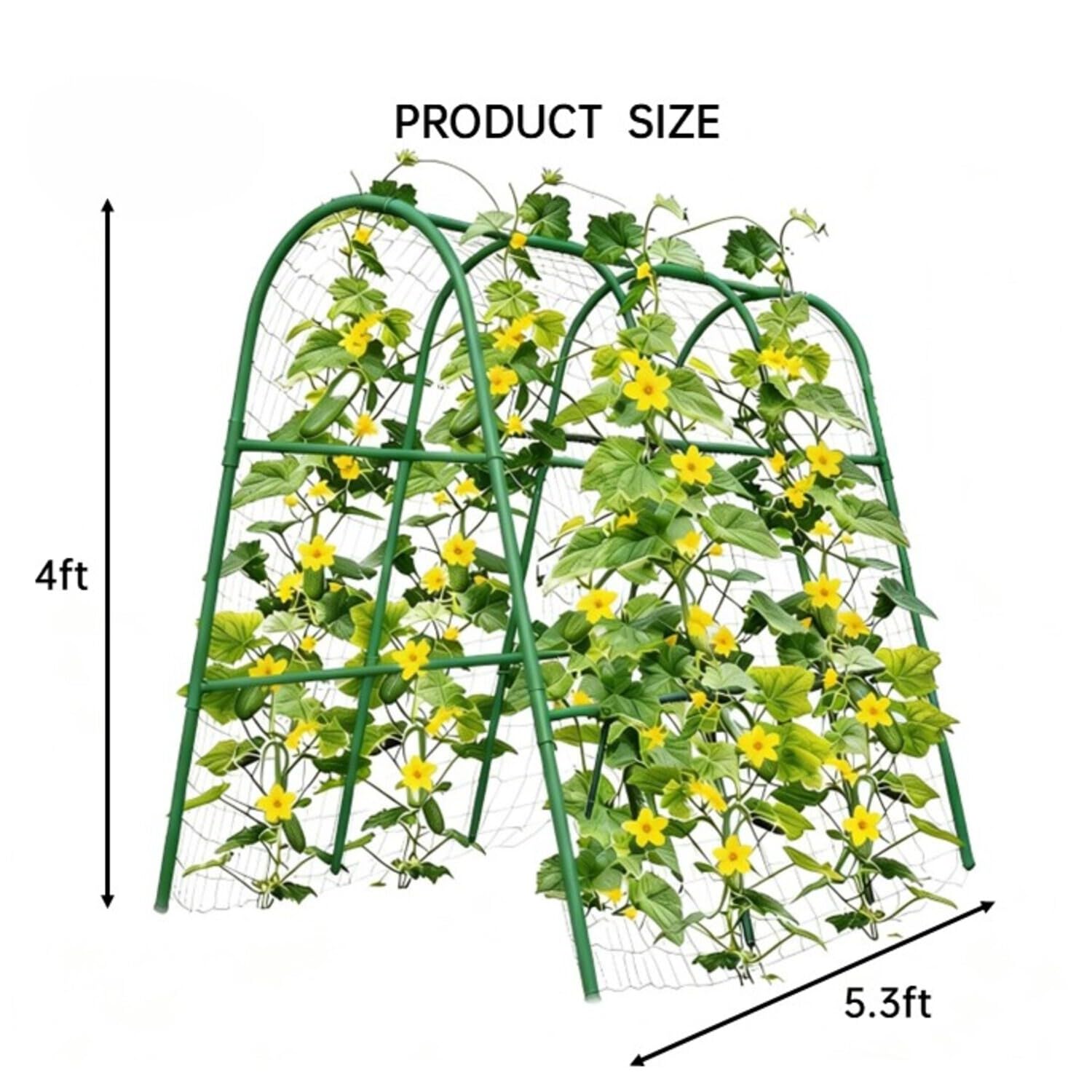 4x5.3FT Garden Arch Trellis fo - огляд і ціна Plants X
