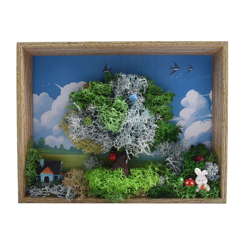 Seaweed Art DIY Kit - 3D Frame - огляд і ціна Plant Parent Gift Set