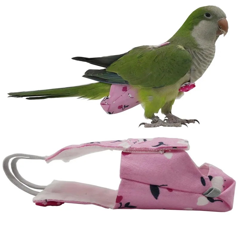Washable Parrot Diaper Flight  - огляд і ціна Plant Parenthood