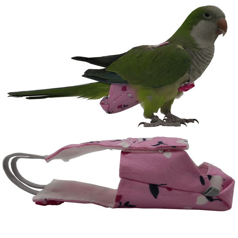 Parrot Diaper with Bowtie Cute - огляд і ціна Plant Parenthood